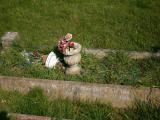 image of grave number 16632